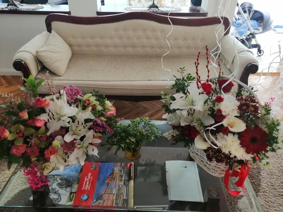 Villa D'Amore Montenegro Donji Morinj Εξωτερικό φωτογραφία
