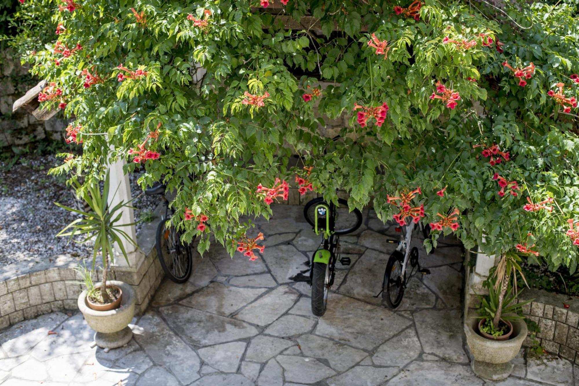 Villa D'Amore Montenegro Donji Morinj Εξωτερικό φωτογραφία